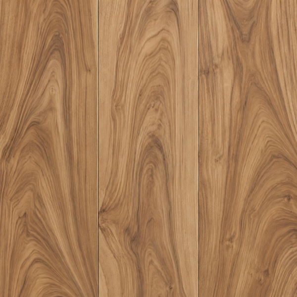 Elm